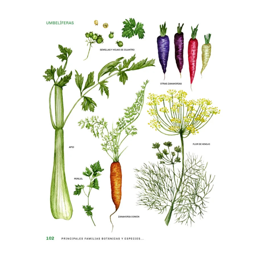 Libro "Agricultura en tus Manos"