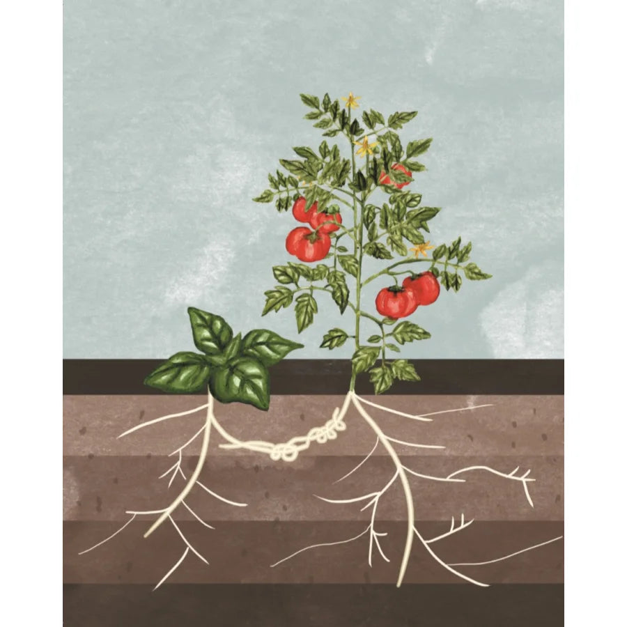 Libro "Cultivar(nos)"