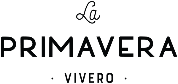 La Primavera Vivero