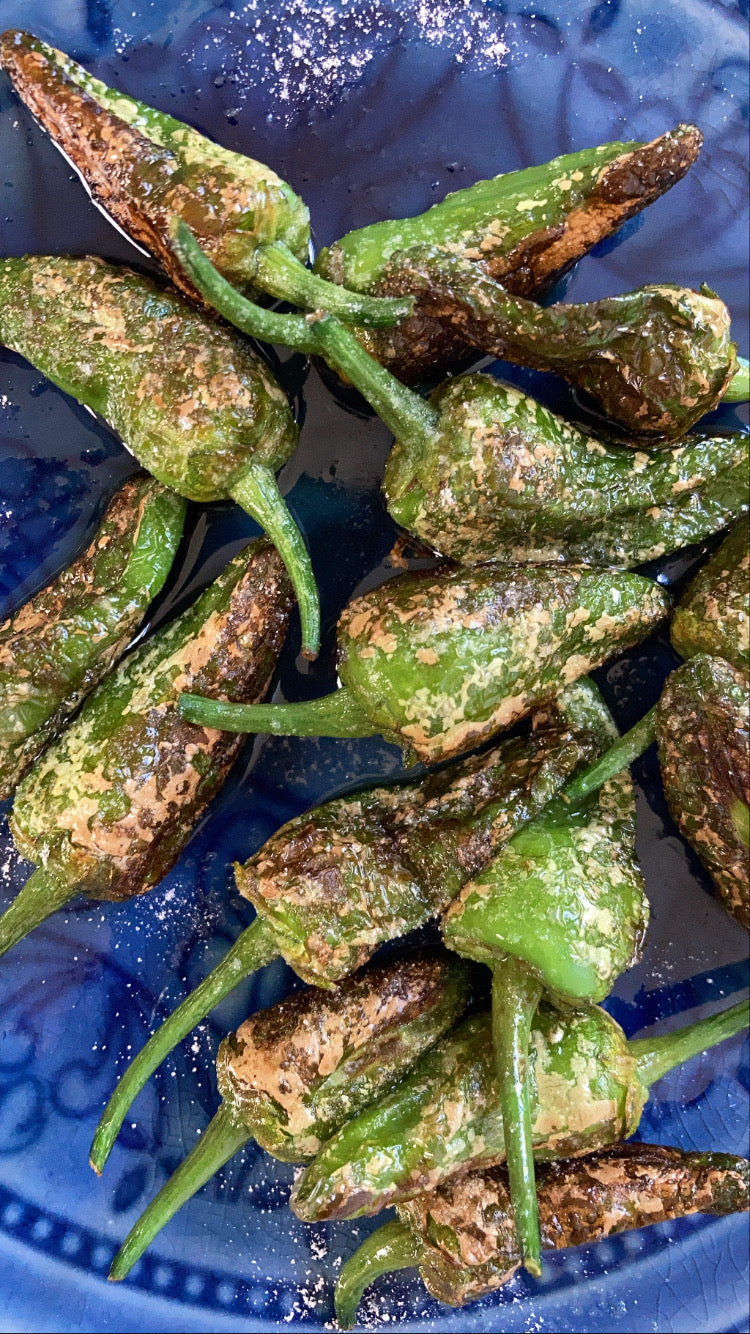 Pimiento Padrón
