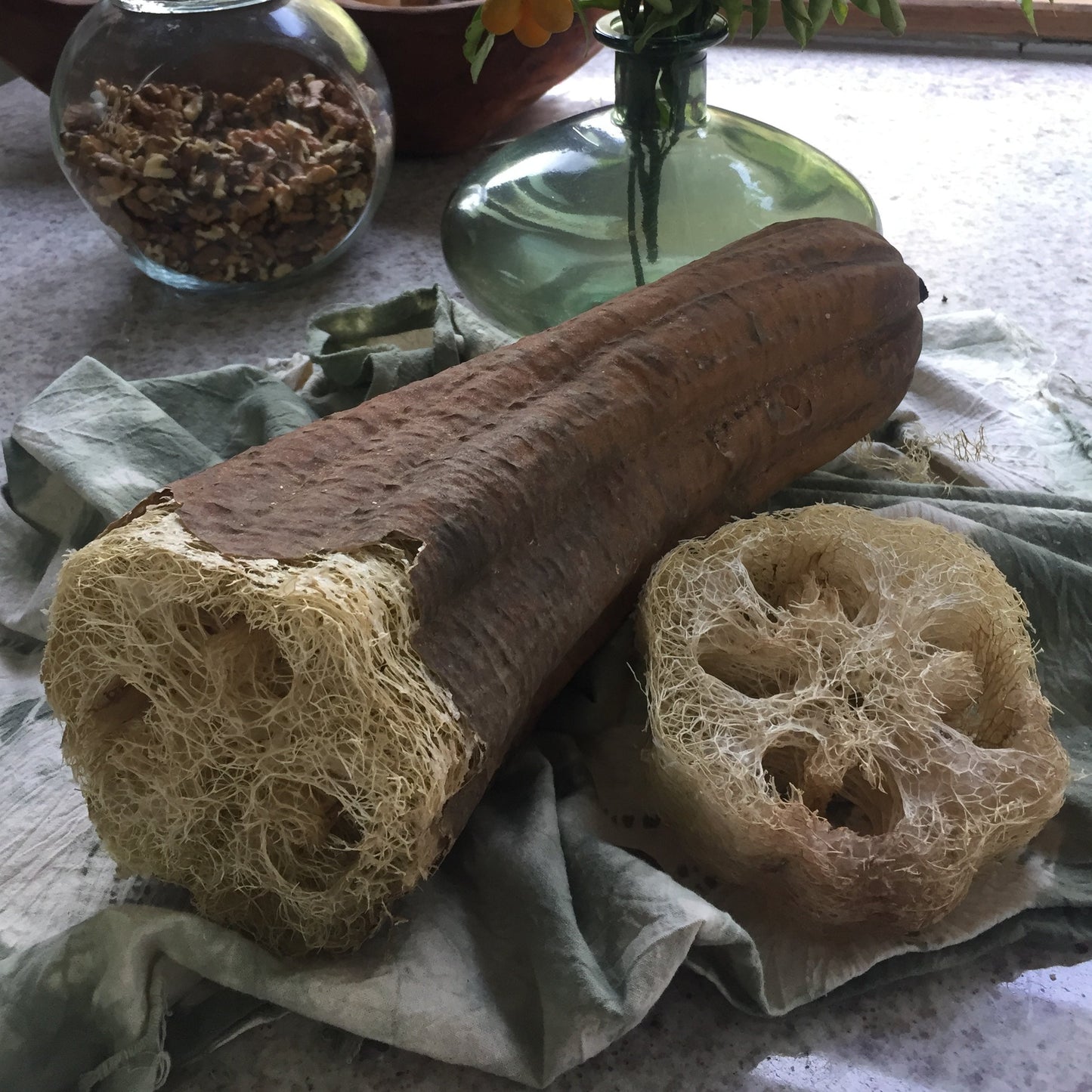 Luffa