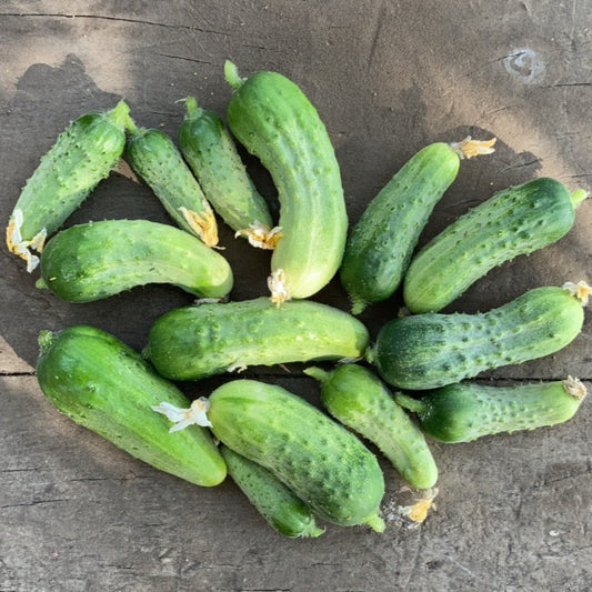 Pepinillo