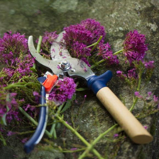 Tijera de Podar Opinel