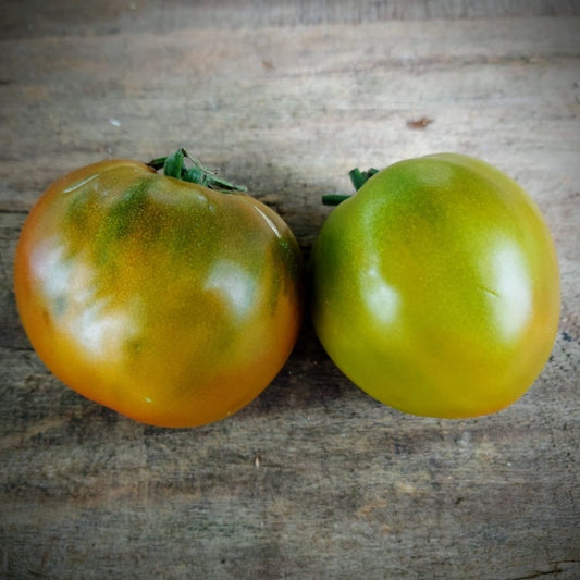 Tomate Captain Lucky