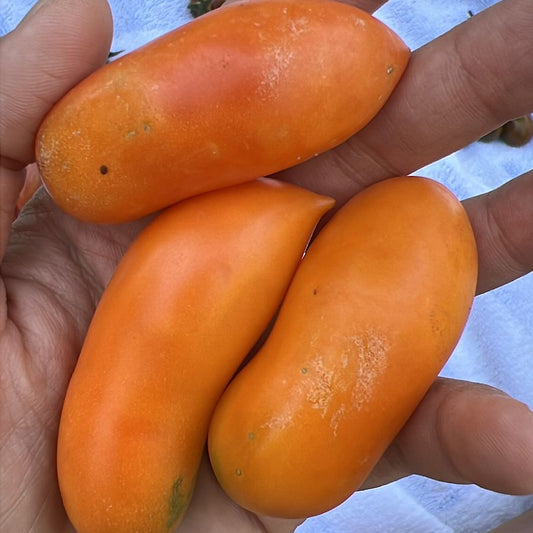Tomate Banana Orange