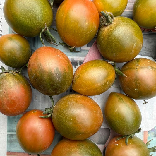 Tomate Evil Olive