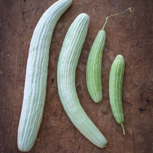Pepino Armenian