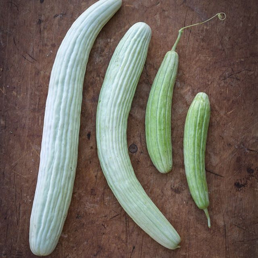 Pepino Armenian