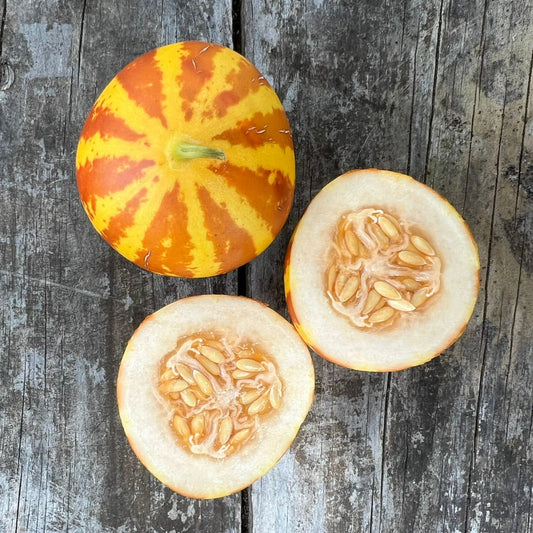 Melón Tigre