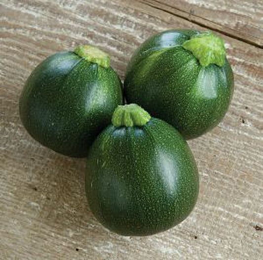 Zapallo Bola 8