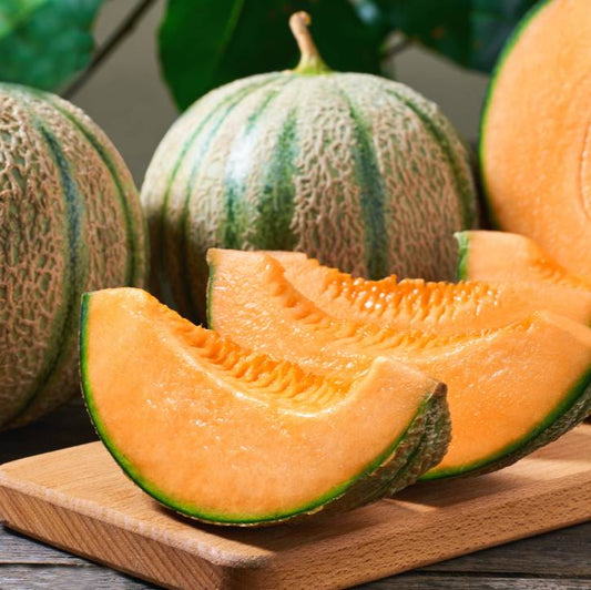 Melon Charentais