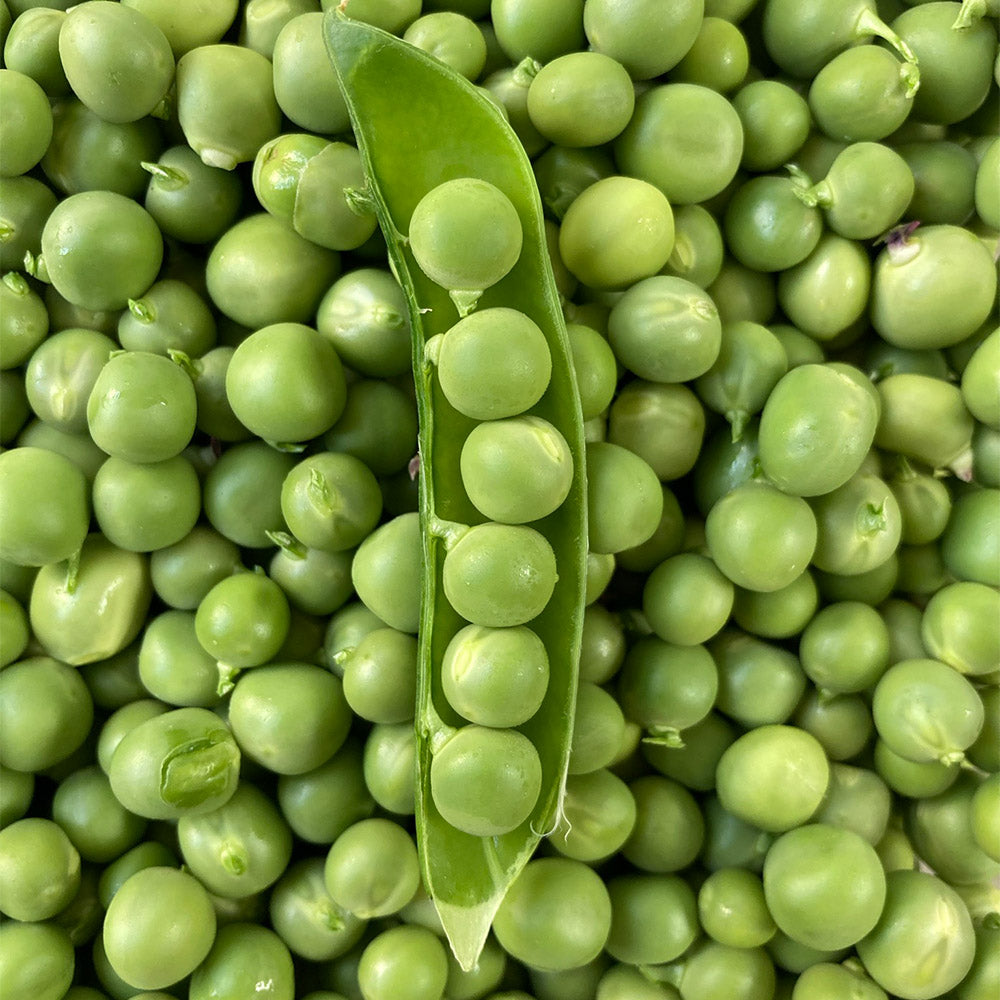 Arvejas (2ud)