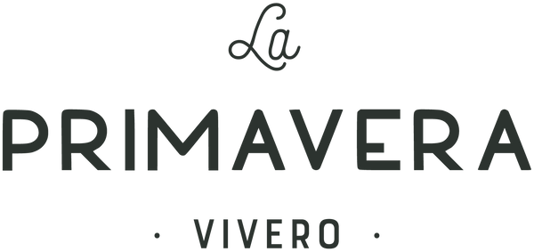 La Primavera Vivero