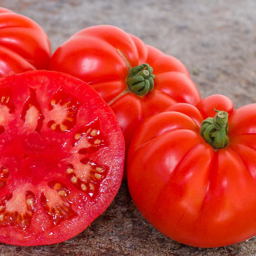 Tomate Marmande