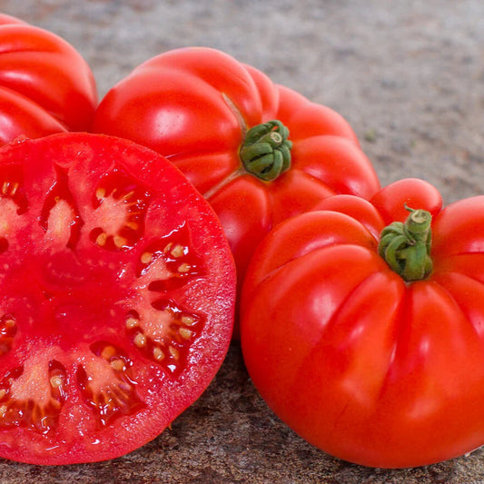 Tomate Marmande
